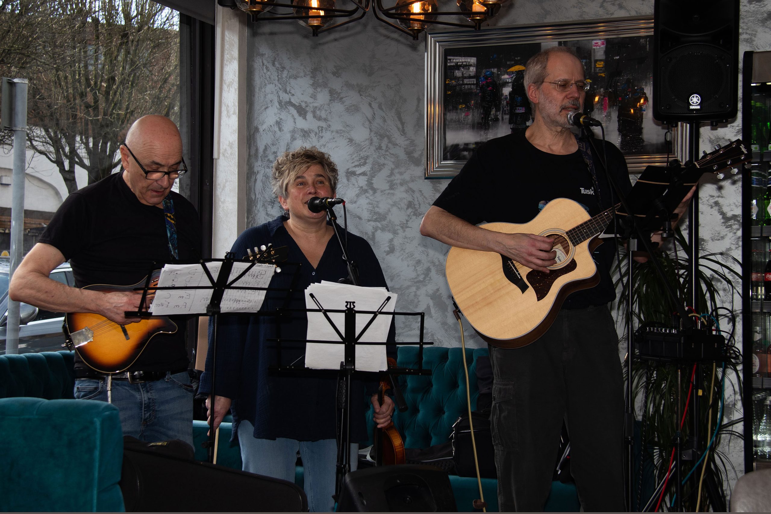 Horse to Water, band performing in a cafe
