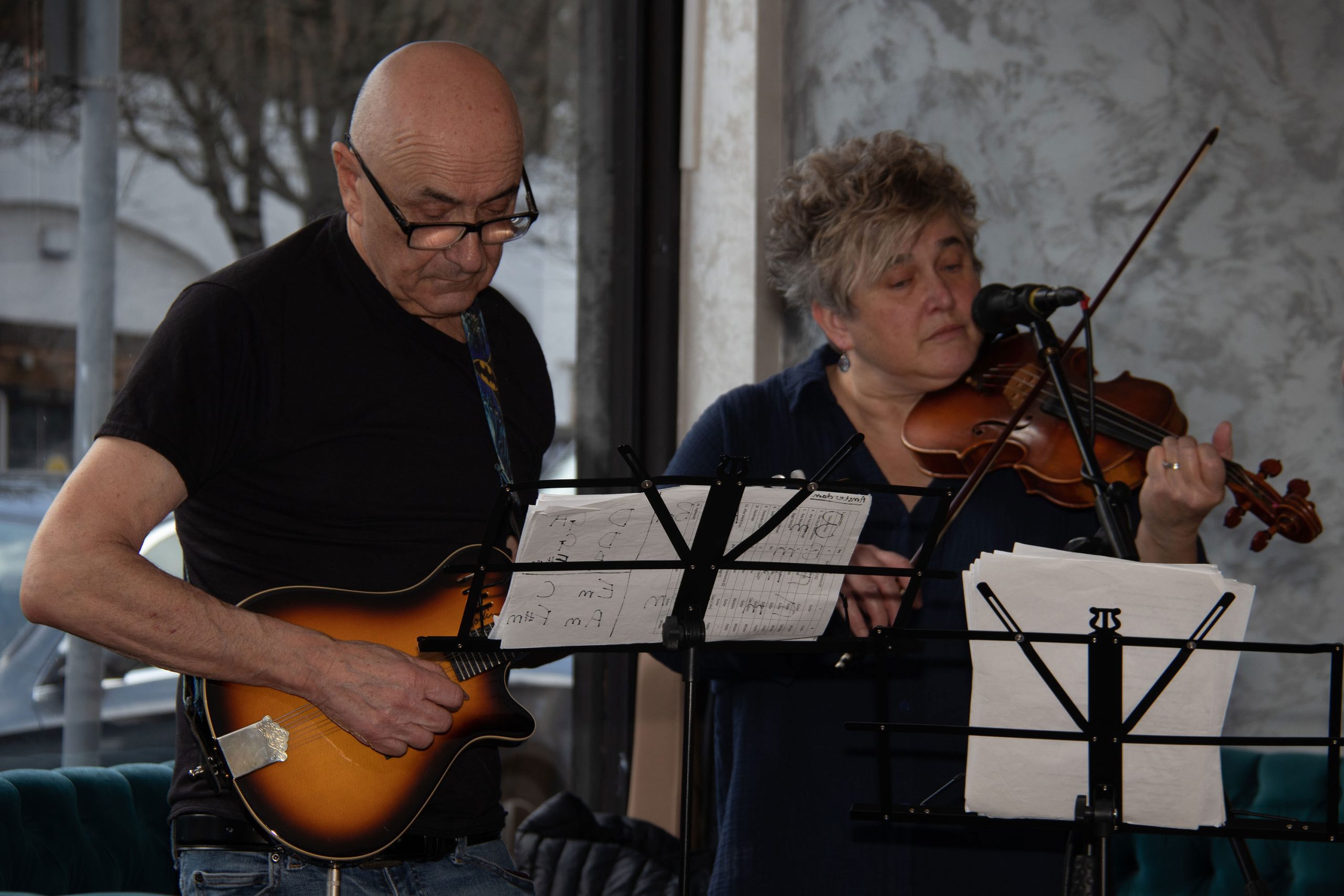 Horse to Water, band performing in a cafe