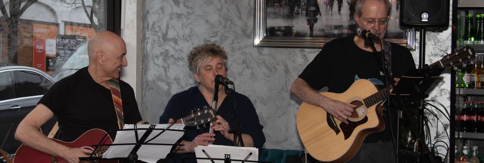 Horse to Water, band performing in a cafe