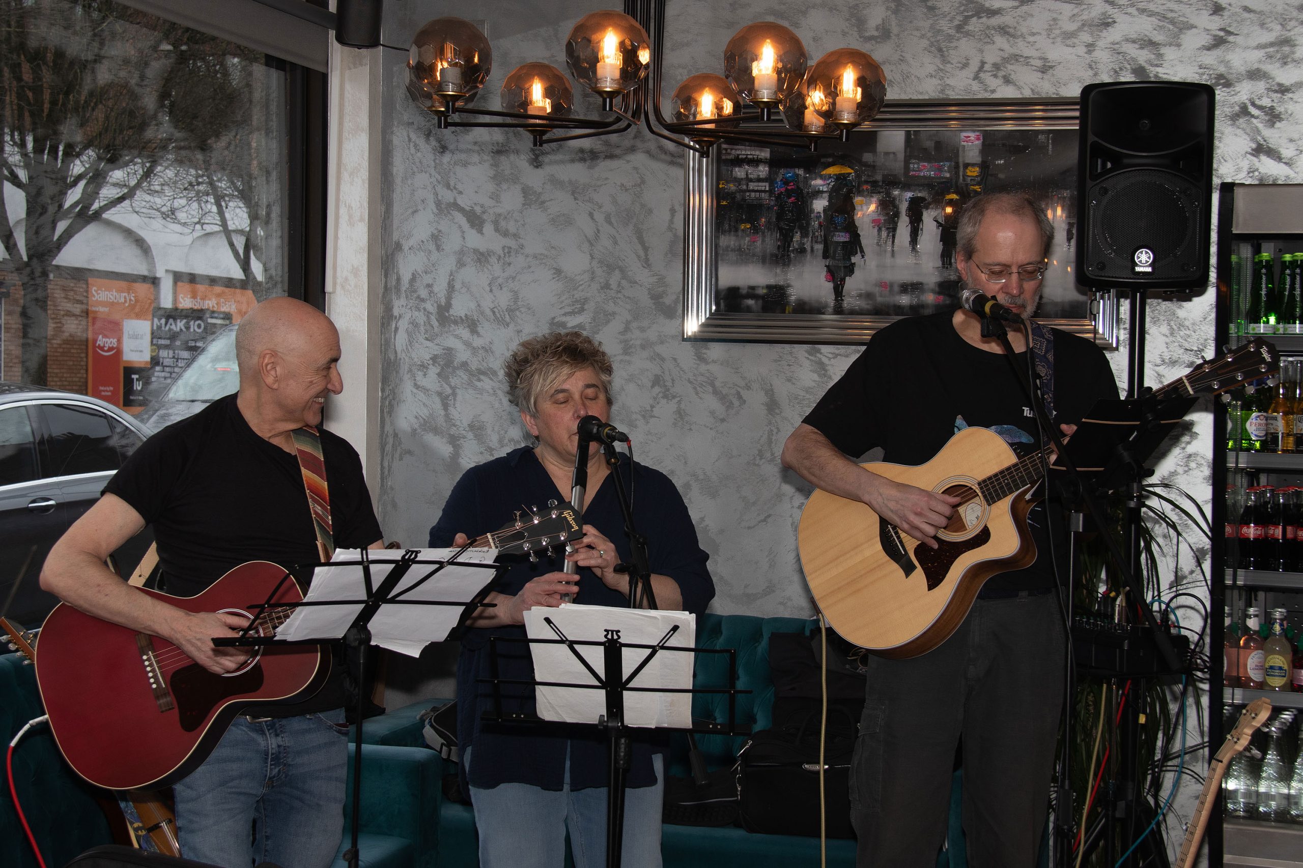 Horse to Water, band performing in a cafe